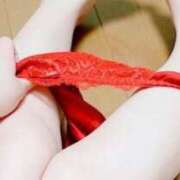 ヒメ日記 2026/02/20 10:09 投稿 てぃあら One More奥様　横浜関内店