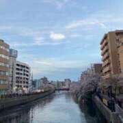 ヒメ日記 2026/04/06 18:36 投稿 てぃあら One More奥様　横浜関内店