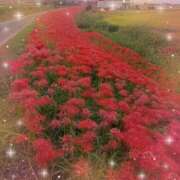 ヒメ日記 2025/10/10 16:52 投稿 ちか ファーストレディ(博多)