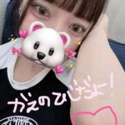 ヒメ日記 2025/08/17 17:47 投稿 かえ 東京メンズボディクリニック TMBC 渋谷店