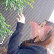 ヒメ日記 2025/04/21 12:30 投稿 美月 日本妻