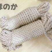 ヒメ日記 2025/04/24 13:14 投稿 ほのか 体感サロン マチルダとベロニカ