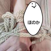 ヒメ日記 2025/04/25 15:32 投稿 ほのか 体感サロン マチルダとベロニカ