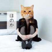 ヒメ日記 2025/11/10 15:40 投稿 ほのか 体感サロン マチルダとベロニカ