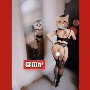 ヒメ日記 2025/11/14 09:37 投稿 ほのか 体感サロン マチルダとベロニカ