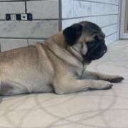 らら しゅっ✊🏻🎀💕 クリステル