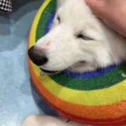 ヒメ日記 2025/08/17 07:32 投稿 うと ジャパンクラブ富士