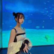 ヒメ日記 2025/08/21 13:42 投稿 うと ジャパンクラブ富士