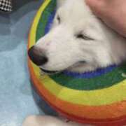 ヒメ日記 2025/10/01 17:22 投稿 うと ジャパンクラブ富士