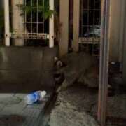 ヒメ日記 2025/10/05 00:17 投稿 うと ジャパンクラブ富士