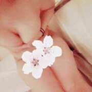 ヒメ日記 2025/05/17 15:17 投稿 ユイ ドMな奥様 大阪本店