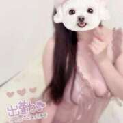 ヒメ日記 2025/06/10 09:22 投稿 くるみ ごほうびSPA 大阪店