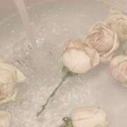 ヒメ日記 2025/10/06 12:22 投稿 くるみ ごほうびSPA 大阪店