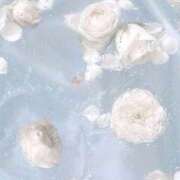 ヒメ日記 2025/10/15 11:02 投稿 くるみ ごほうびSPA 大阪店