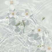 ヒメ日記 2025/11/04 14:52 投稿 くるみ ごほうびSPA 大阪店