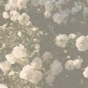 くるみ いっぱい責めちゃうぞっ♡ ごほうびSPA 大阪店