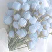 ヒメ日記 2025/12/18 10:42 投稿 くるみ ごほうびSPA 大阪店