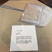 ヒメ日記 2026/04/08 10:20 投稿 さばちゃん アロー