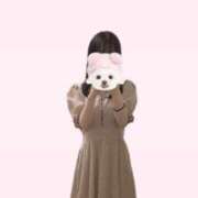 ヒメ日記 2025/05/16 17:48 投稿 めみ ばつぐん素人プロダクション