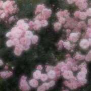 ヒメ日記 2025/06/05 18:45 投稿 あかり スピードエコ梅田店