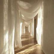 ヒメ日記 2025/06/11 15:35 投稿 あかり スピードエコ梅田店