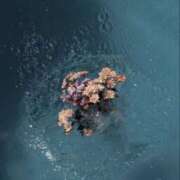 ヒメ日記 2025/06/20 17:47 投稿 あかり スピードエコ梅田店