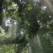 ヒメ日記 2025/06/23 14:16 投稿 あかり スピードエコ梅田店