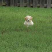 ヒメ日記 2025/07/03 15:15 投稿 あかり スピードエコ梅田店