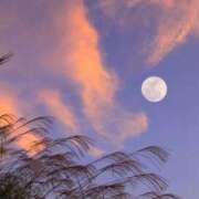 ヒメ日記 2025/09/11 18:45 投稿 あかり スピードエコ梅田店