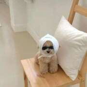 ヒメ日記 2025/10/12 17:18 投稿 あかり スピードエコ梅田店