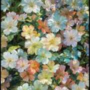 ヒメ日記 2025/10/19 18:01 投稿 あかり スピードエコ梅田店