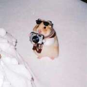 ヒメ日記 2026/02/15 09:36 投稿 あかり スピードエコ梅田店