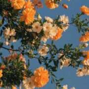 ヒメ日記 2026/03/09 17:39 投稿 あかり スピードエコ梅田店