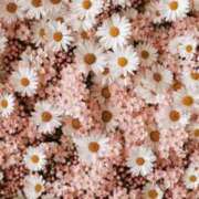 あかり 🌞 スピードエコ梅田店