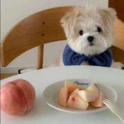 あかり ただいま💡 スピードエコ梅田店