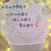 ヒメ日記 2025/05/25 20:31 投稿 さな 千葉サンキュー