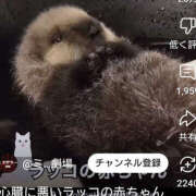 ヒメ日記 2025/04/17 07:07 投稿 みらい 土浦ハッピーマットパラダイス