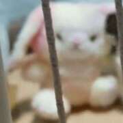 ヒメ日記 2025/07/23 12:08 投稿 みらい 土浦ハッピーマットパラダイス