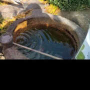 ヒメ日記 2025/11/30 02:57 投稿 みらい 土浦ハッピーマットパラダイス