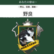 ヒメ日記 2025/12/10 15:27 投稿 みらい 土浦ハッピーマットパラダイス