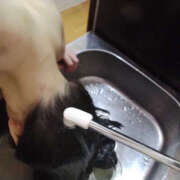 ヒメ日記 2025/12/11 16:57 投稿 みらい 土浦ハッピーマットパラダイス