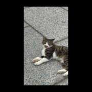 ヒメ日記 2026/02/23 15:37 投稿 みらい 土浦ハッピーマットパラダイス