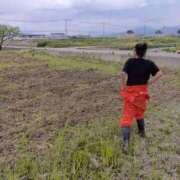 ヒメ日記 2025/04/30 14:15 投稿 あさみ 熟女の風俗最終章 沼津店