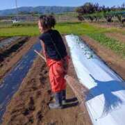 ヒメ日記 2025/05/02 09:58 投稿 あさみ 熟女の風俗最終章 沼津店