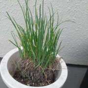 ヒメ日記 2025/05/09 11:48 投稿 あさみ 熟女の風俗最終章 沼津店