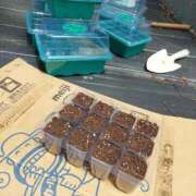 ヒメ日記 2025/05/12 12:38 投稿 あさみ 熟女の風俗最終章 沼津店