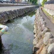 ヒメ日記 2025/05/15 16:28 投稿 あさみ 熟女の風俗最終章 沼津店