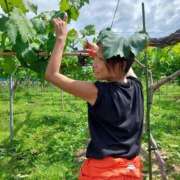 ヒメ日記 2025/06/02 09:38 投稿 あさみ 熟女の風俗最終章 沼津店