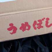 ヒメ日記 2026/01/23 13:28 投稿 あさみ 熟女の風俗最終章 沼津店