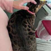 ヒメ日記 2026/03/09 11:58 投稿 あさみ 熟女の風俗最終章 沼津店